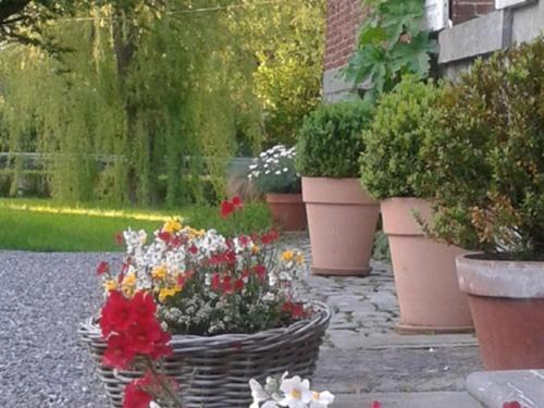 Maison D'Eclaibes Екстер'єр фото
